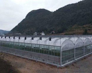 湖北荊門