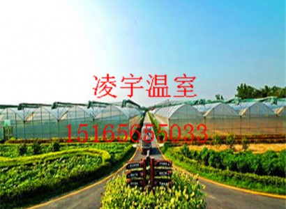 溫室規劃
